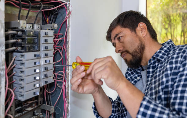 Best Electric Panel Repair  in Goulds, FL